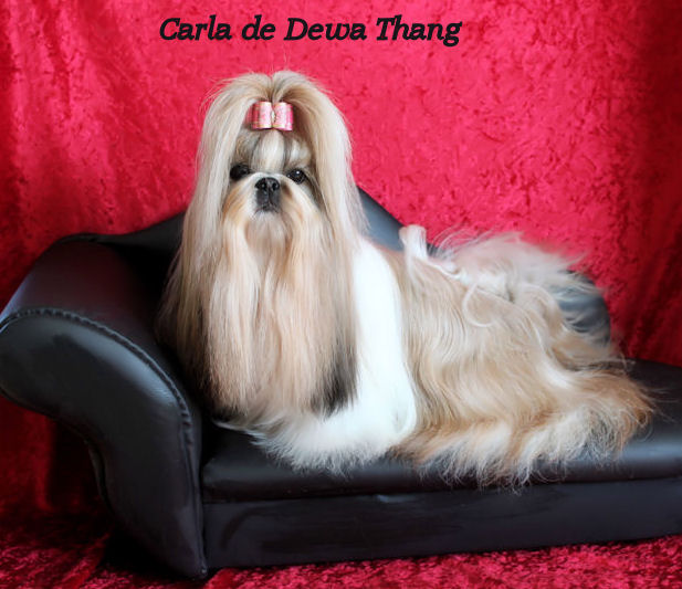 Carla de Dewa Thang