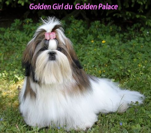 Golden girl du Golden Palace