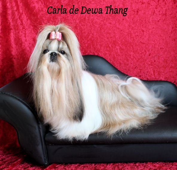 Carla de Dewa Thang